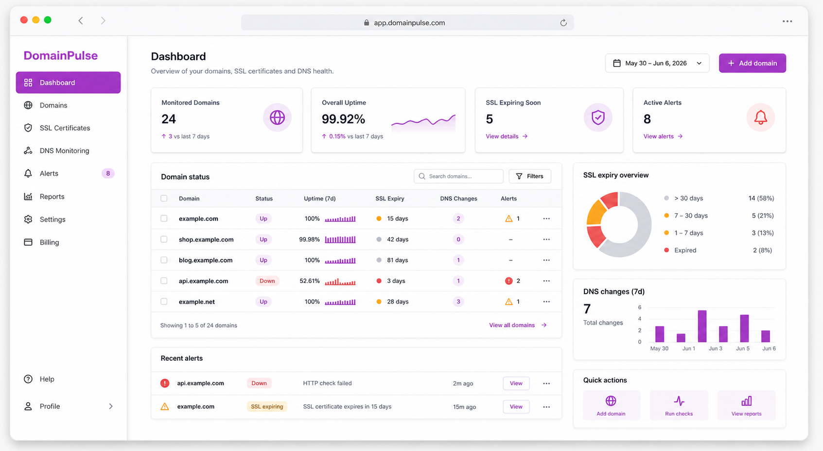 Apercu du dashboard DomainPulse
